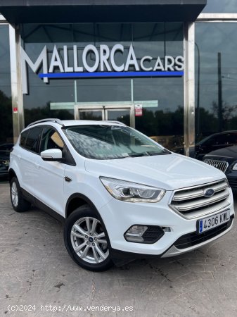 Ford Kuga 1.5 SCTI 120CV - Palma