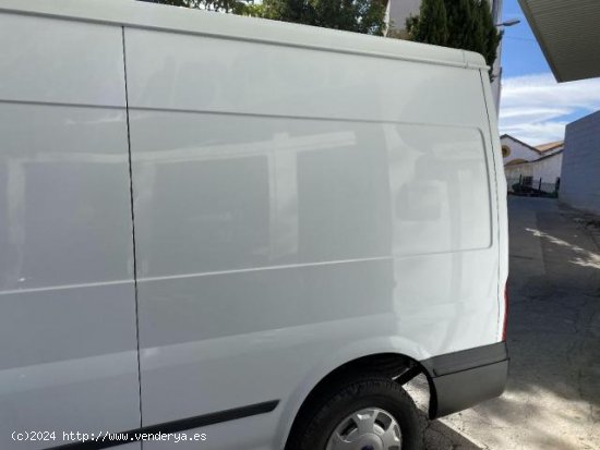 FORD Transit en venta en Baza (Granada) - Baza