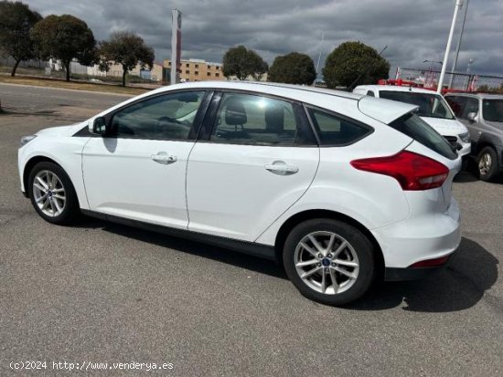 FORD Focus en venta en Puertollano (Ciudad Real) - Puertollano