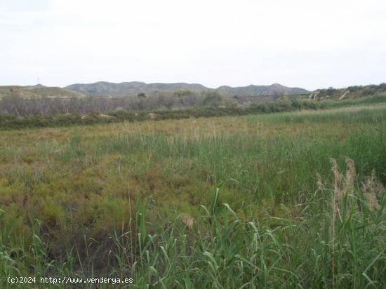 SE VENDE CASA DE CAMPO EN NOVELDA - ALICANTE