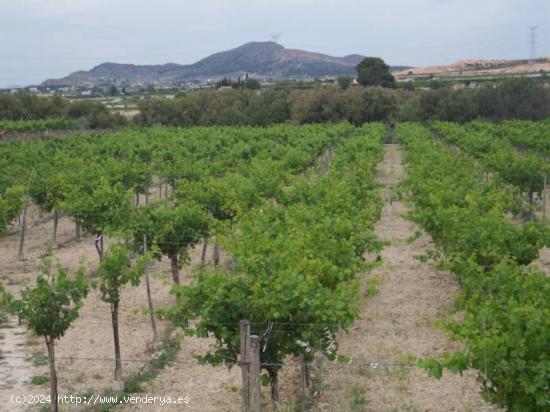 SE VENDE CASA DE CAMPO EN NOVELDA - ALICANTE