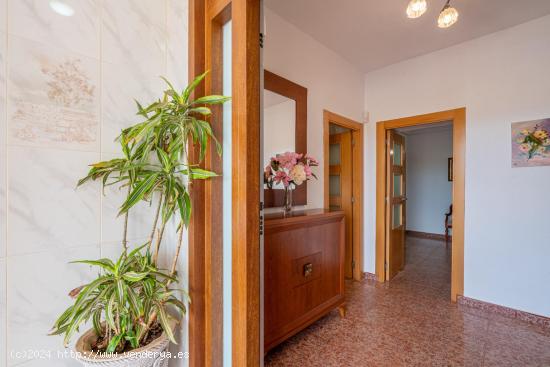 Casa Unifamiliar en Venta en Los Albaricoques, Níjar - Oportunidad Única - ALMERIA