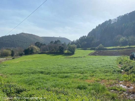 FINCAS RÚSTICAS EN NUEVA DE LLANES - ASTURIAS