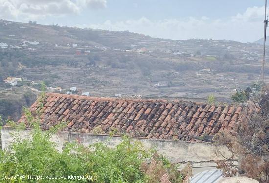 Casa tipica Canaria en Venta en el Casco Histórico de Moya - LAS PALMAS