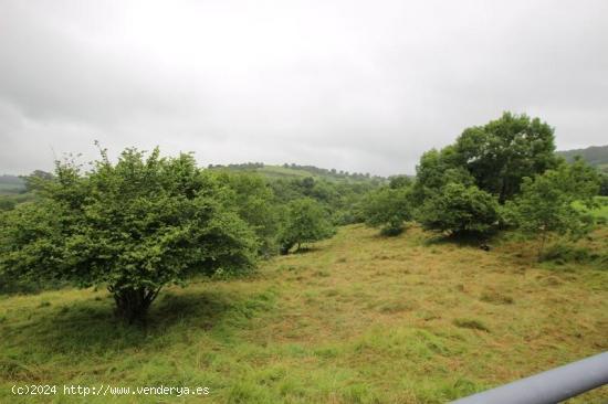 TERRENO PARA CONSTRUIR UNA CASA - CANTABRIA