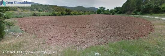 FINCA EN PATERNA DEL MADERA - BOGARRA - ALBACETE