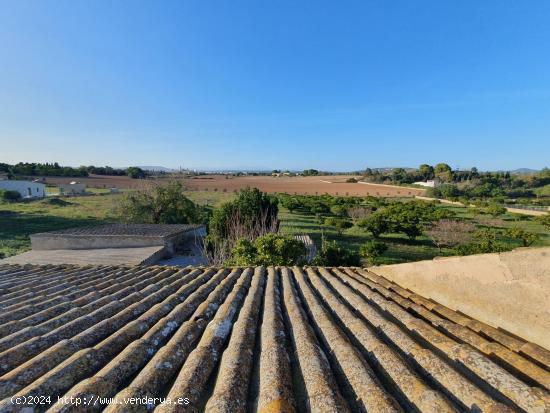 finca rustica - BALEARES