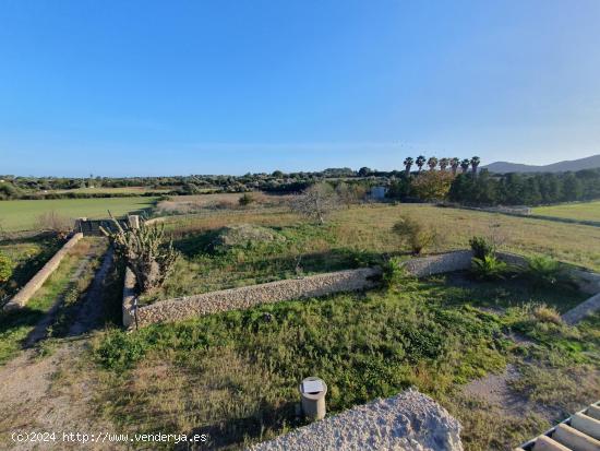 finca rustica - BALEARES