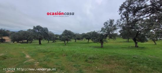  PARCELA RÚSTICA EN PEDROCHE - CORDOBA 