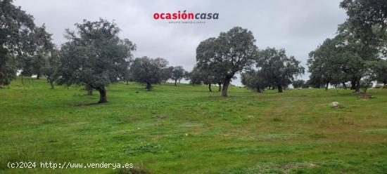 PARCELA RÚSTICA EN PEDROCHE - CORDOBA