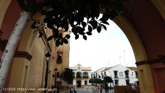  Local diáfano en Umbrete - SEVILLA 