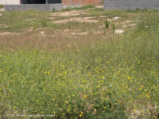 FANTÁSTICA PARCELA DE 191 M2 EN LLORENÇ DEL PENEDÉS - TARRAGONA