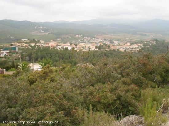  FANTÁSTICA PARCELA EN CAN GORDEI LA BISBAL DEL PENEDÉS - TARRAGONA 