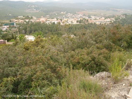 FANTÁSTICA PARCELA EN CAN GORDEI LA BISBAL DEL PENEDÉS - TARRAGONA