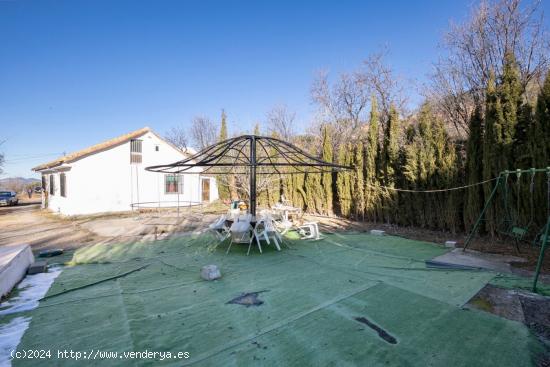 GRAN TERRENO RURAL EN COGOLLOS DE LA VEGA - GRANADA