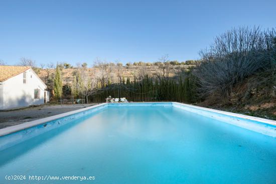 GRAN TERRENO RURAL EN COGOLLOS DE LA VEGA - GRANADA