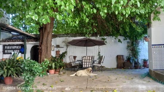  Gran casa con patio en Brozas - CACERES 