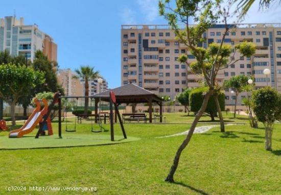 Se vende magnifico piso altas calidades, Alicante - ALICANTE