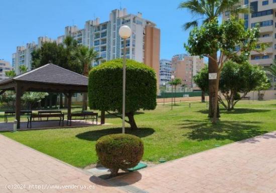 Se vende magnifico piso altas calidades, Alicante - ALICANTE