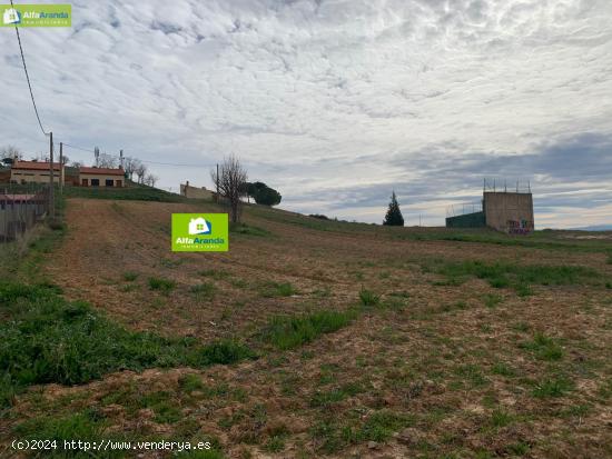 TERRENO URBANO EN VILLALBA DE DUERO - BURGOS