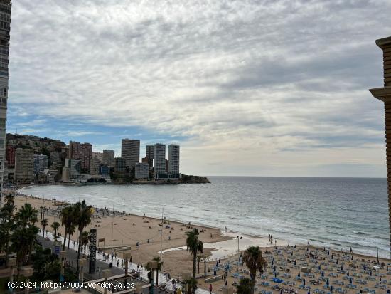 Piso en primera línea de playa levante, para entrar a vivir www.inmobiliarialesdunes.com - ALICANTE