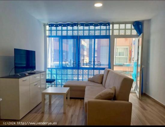 ALQUILER DE VIVIENDA TIPO LOFT ZONA CENTRO DE ALICANTE - ALICANTE