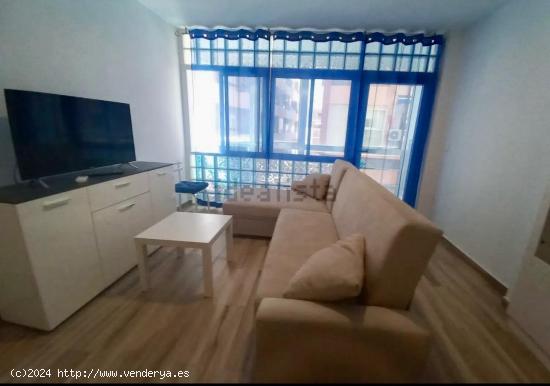 ALQUILER DE VIVIENDA TIPO LOFT ZONA CENTRO DE ALICANTE - ALICANTE