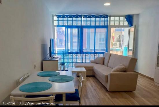 ALQUILER DE VIVIENDA TIPO LOFT ZONA CENTRO DE ALICANTE - ALICANTE