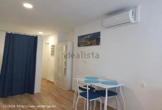 ALQUILER DE VIVIENDA TIPO LOFT ZONA CENTRO DE ALICANTE - ALICANTE