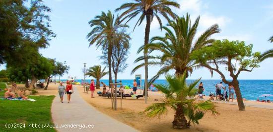 OBRA NOVA EN PINEDA DE MAR - BARCELONA