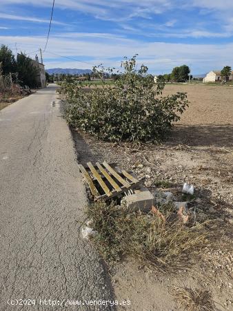 Parcela rústica con casa de apero en Dolores - ALICANTE