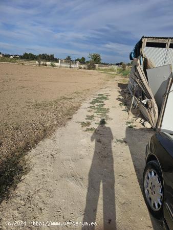 Parcela rústica con casa de apero en Dolores - ALICANTE