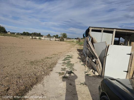 Parcela rústica con casa de apero en Dolores - ALICANTE