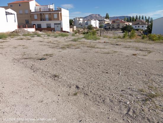 SOLARES URBANIZABLES JUNTO A AVENIDA ANDALUCÍA DE VÉLEZ RUBIO - ALMERIA