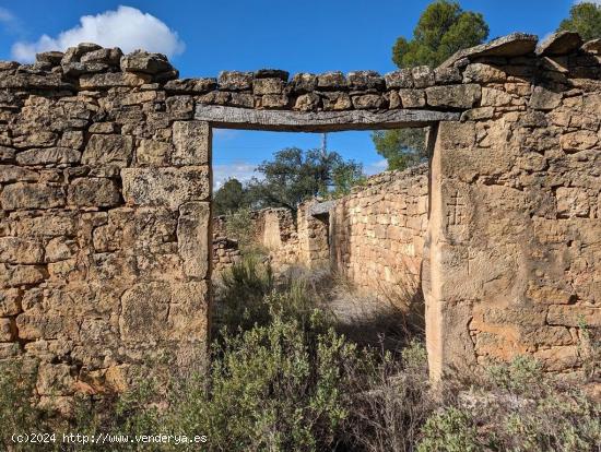  Finca rústica con cultivo ecológico y masía - TERUEL 