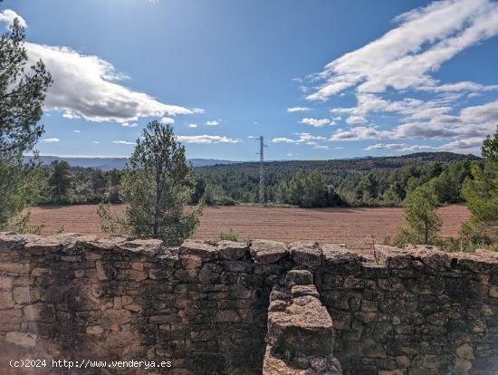 Finca rústica con cultivo ecológico y masía - TERUEL