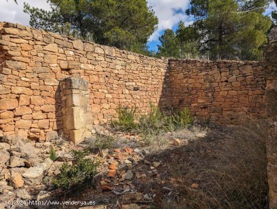 Finca rústica con cultivo ecológico y masía - TERUEL