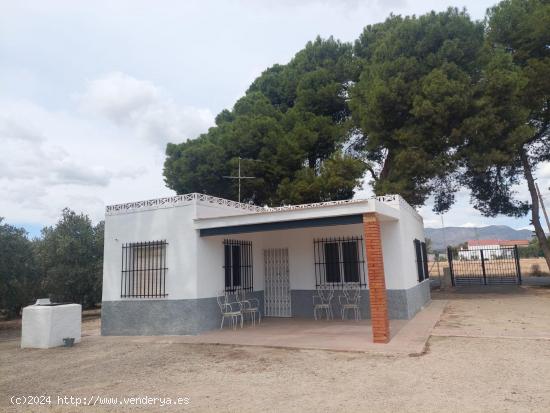  Casa de Campo en la zona La Mangranera (Realengo) - ALICANTE 