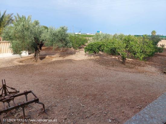 SE VENDE CAMPO PARA REFORMAR - ALICANTE