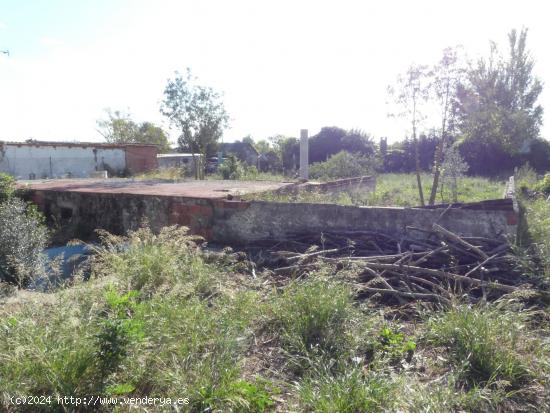 Finca con torre para reformar en Peñaflor. - ZARAGOZA