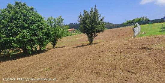 Finca “La huerta” en Pillarno (Castrillón), el terreno urbanizable donde ver crecer tu vida. - 