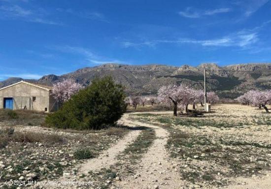 ESPECTACULAR FINCA EN VÉLEZ RUBIO - ALMERIA