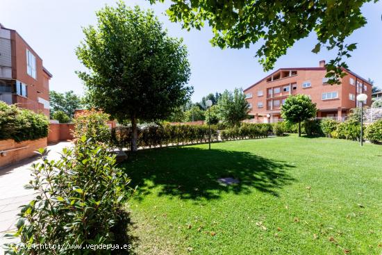 MAGNÍFICO PISO AMUEBLADO EN PLANTA EN URBANIZACIÓN CERRADA CON PISCINA - MADRID