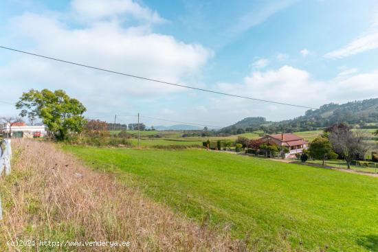  TERRENO EN LAS REGUERAS CRTA AS-233 - ASTURIAS 