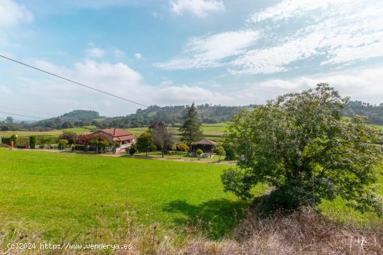 TERRENO EN LAS REGUERAS CRTA AS-233 - ASTURIAS