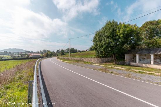 TERRENO EN LAS REGUERAS CRTA AS-233 - ASTURIAS