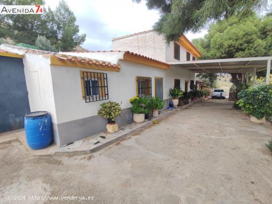  CASA EN EL CONSEJERO - MURCIA 