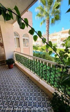  Apartamento alto en Los Frutales - ALICANTE 