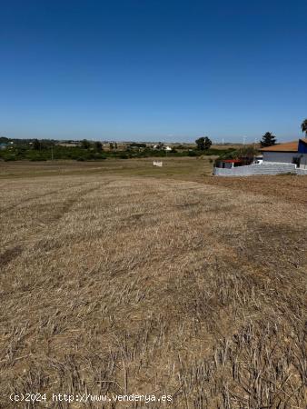  Se vende gran parcela segregada de 22.000 m² - CADIZ 