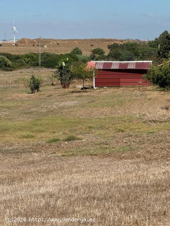 Se vende gran parcela segregada de 22.000 m² - CADIZ